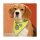 Karlie Safety Dog Sicherheitshalstuch - Gelb - 24-30cm / 20mm